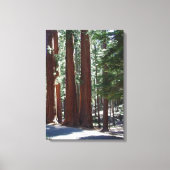 Redwood Forest Sequoia Tree Wall Art Canvas Afdruk (Voorkant)