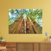 Redwood Grove Canvas Afdruk (Insitu (Woonkamer))