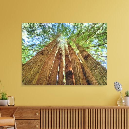 Redwood Grove Canvas Afdruk (Insitu (Woonkamer))