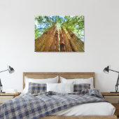 Redwood Grove Canvas Afdruk (Insitu (Slaapkamer))