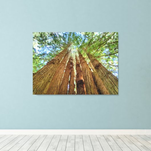 Redwood Grove Canvas Afdruk (Insitu (Houten vloer))