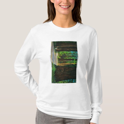 Redwood Highway in Humboldt State Redwood Park T-shirt (Voorkant)