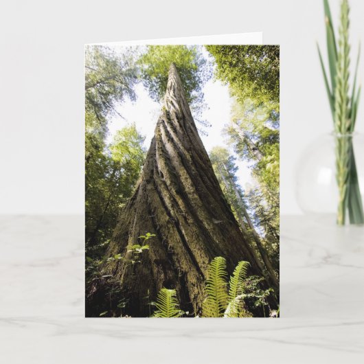 Redwood Kaart (Voorkant)