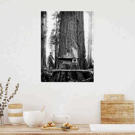REDWOOD LUMBERJACKS c. 1887 Poster (Keuken)