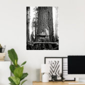 REDWOOD LUMBERJACKS c. 1887 Poster (Thuiskantoor)