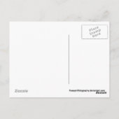 Redwood Morning Briefkaart (Achterkant)