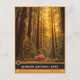 Redwood Nationaal Park | Oude ansichtkaart Briefkaart