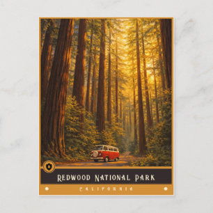 Redwood Nationaal Park Oude ansichtkaart Briefkaart