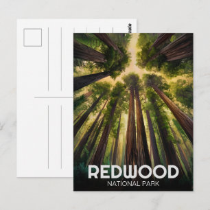 Redwood nationaal staatspark, Californische kust Briefkaart