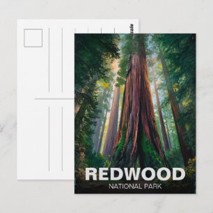 Redwood nationaal staatspark, Californische kust Briefkaart