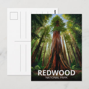 Redwood nationaal staatspark, Californische kust Briefkaart