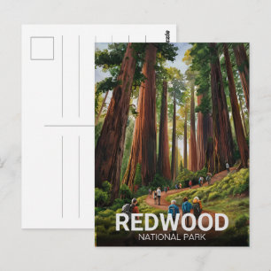 Redwood nationaal staatspark, Californische kust Briefkaart