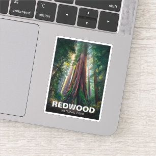 Redwood nationaal staatspark, Californische kust Sticker