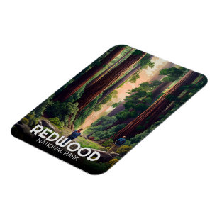 Redwood nationaal staatspark, Kust Californië Magneet
