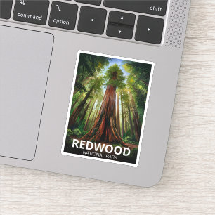 Redwood nationaal staatspark, Kust Californië Sticker