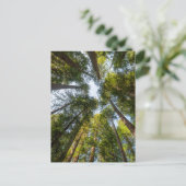 Redwood National and State Parks, Californië Briefkaart (Staand voorkant)