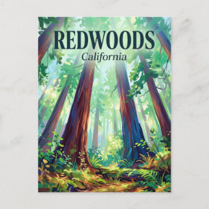 Redwood National and State Parks Californië Briefkaart