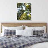 Redwood National and State Parks, Californië Canvas Afdruk (Insitu (Slaapkamer))