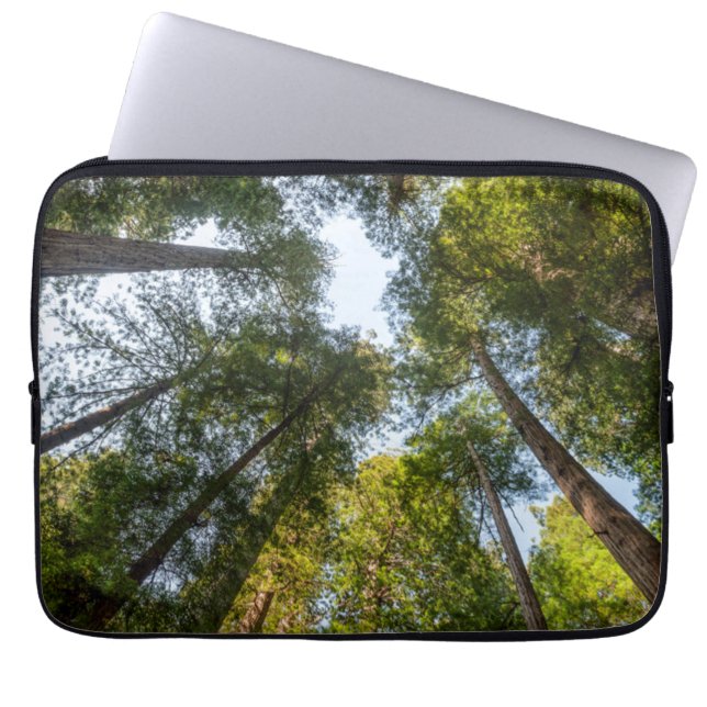 Redwood National and State Parks, Californië Laptop Sleeve (Voorkant)