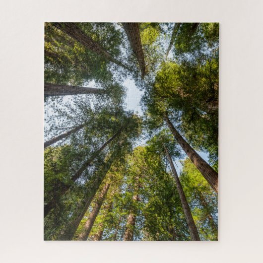 Redwood National and State Parks, Californië Legpuzzel (Verticaal)
