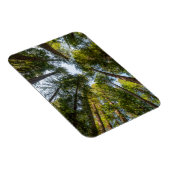 Redwood National and State Parks, Californië Magneet (Rechterzijde)