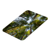 Redwood National and State Parks, Californië Magneet (Linkerzijde)