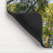 Redwood National and State Parks, Californië Muismat (Hoek)