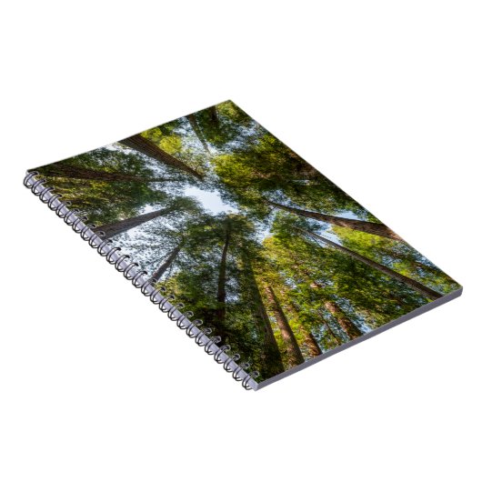 Redwood National and State Parks, Californië Notitieboek (Rechterzijde)