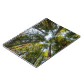 Redwood National and State Parks, Californië Notitieboek (Linkerzijde)