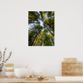 Redwood National and State Parks, Californië Poster (Keuken)