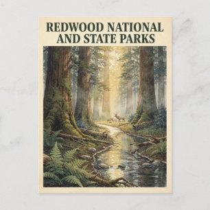 Redwood National and State Parks Vintage Briefkaart