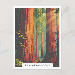 Redwood National en State Parks, Californië, Veren Briefkaart