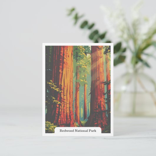 Redwood National en State Parks, Californië, Veren Briefkaart (Staand voorkant)