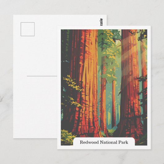 Redwood National en State Parks, Californië, Veren Briefkaart (Voorkant / Achterkant)