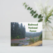 Redwood National Forest Briefkaart (Staand voorkant)