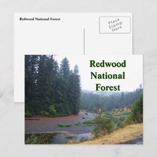 Redwood National Forest Briefkaart (Voorkant / Achterkant)