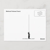 Redwood National Forest Briefkaart (Achterkant)