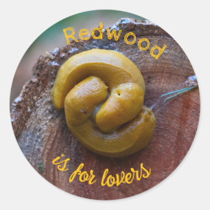 Redwood National Park Banana Slug Pair Ronde Sticker