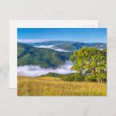 Redwood National Park Briefkaart (Voorkant / Achterkant)