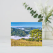 Redwood National Park Briefkaart (Staand voorkant)