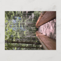 Redwood National Park briefkaart