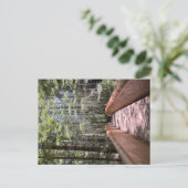 Redwood National Park briefkaart (Staand voorkant)