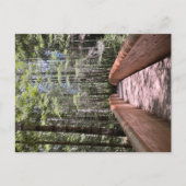 Redwood National Park briefkaart (Voorkant)