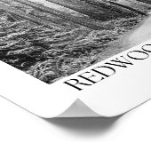 Redwood National Park California Arch Fotoprint Poster (Hoek)