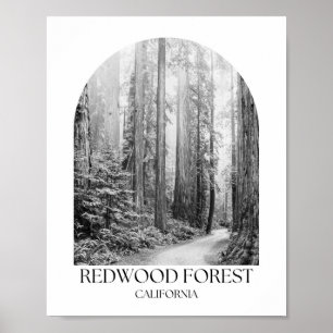 Redwood National Park California Arch Fotoprint Poster