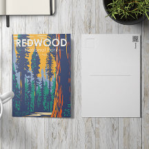 Redwood National Park California 