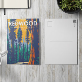 Redwood National Park California  Briefkaart