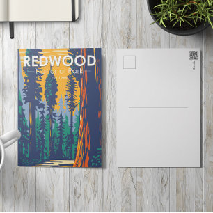 Redwood National Park California  Briefkaart