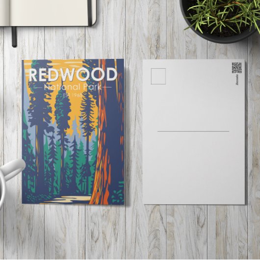 Redwood National Park California  Briefkaart