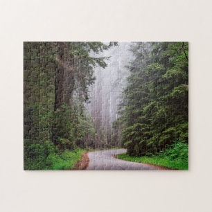 Redwood National Park California Foto Legpuzzel